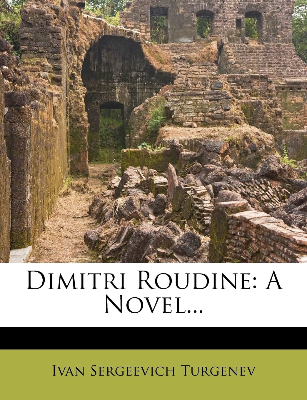Dimitri Roudine: A Novel