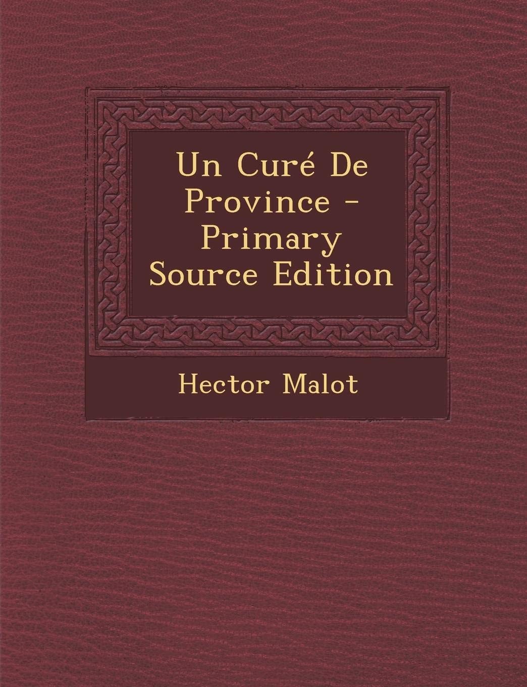 Un Cure de Province - Primary Source Edition