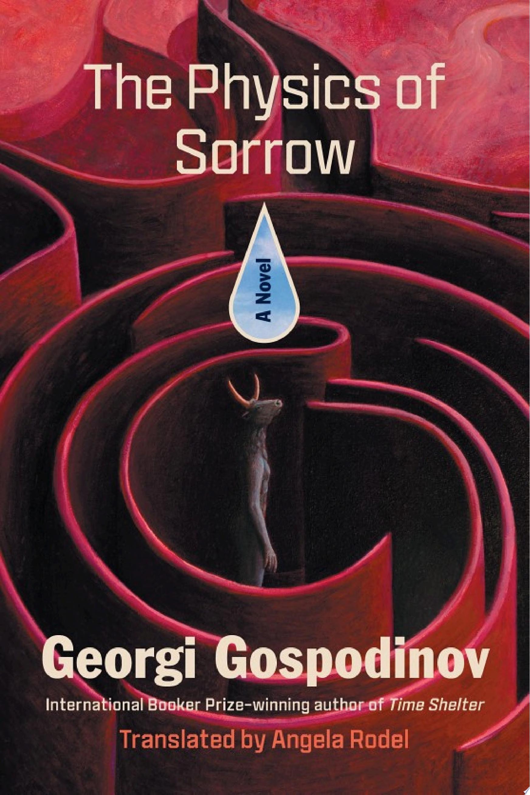 The Physics of Sorrow A Novel