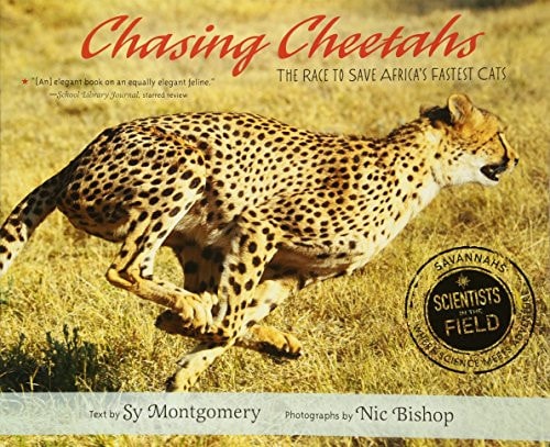 Chasing Cheetahs The Race to Save Africa's Fastest Cat