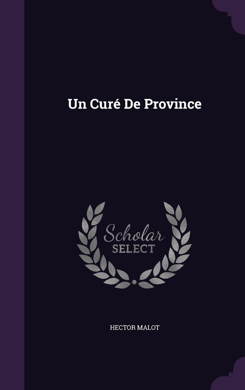 Un Curé De Province