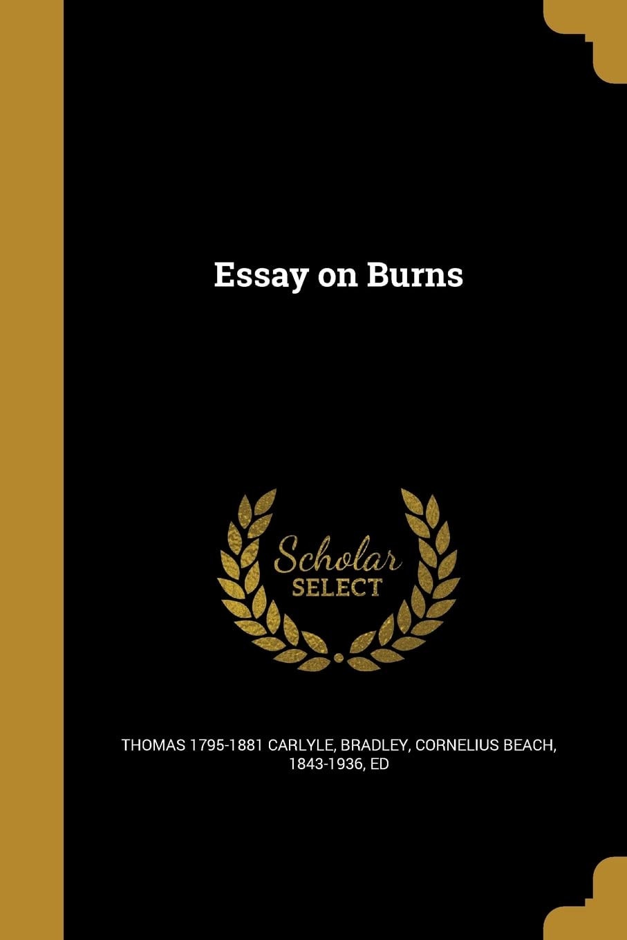 Essay on Burns