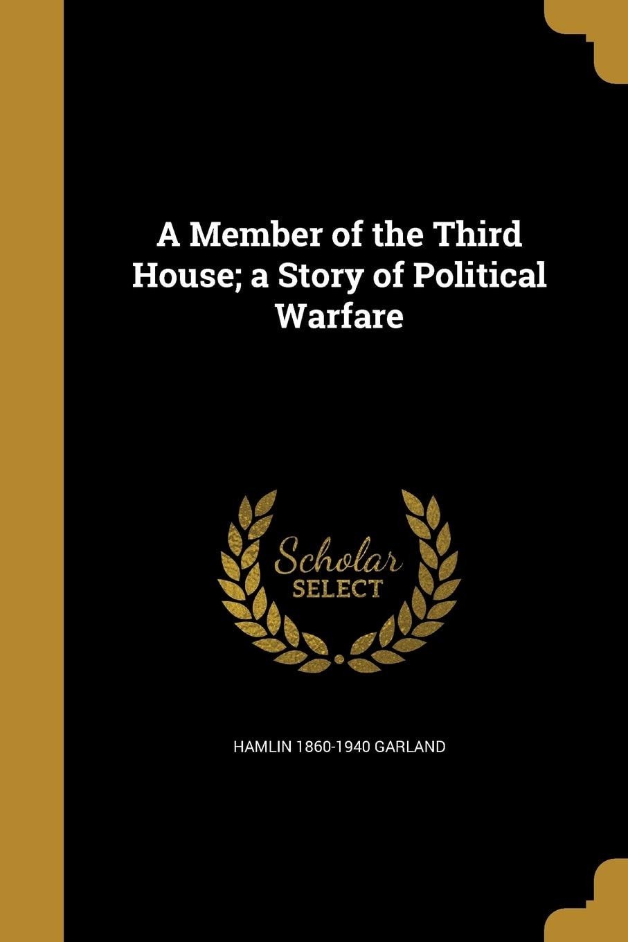 A Member of the Third House; a Story of Political Warfare