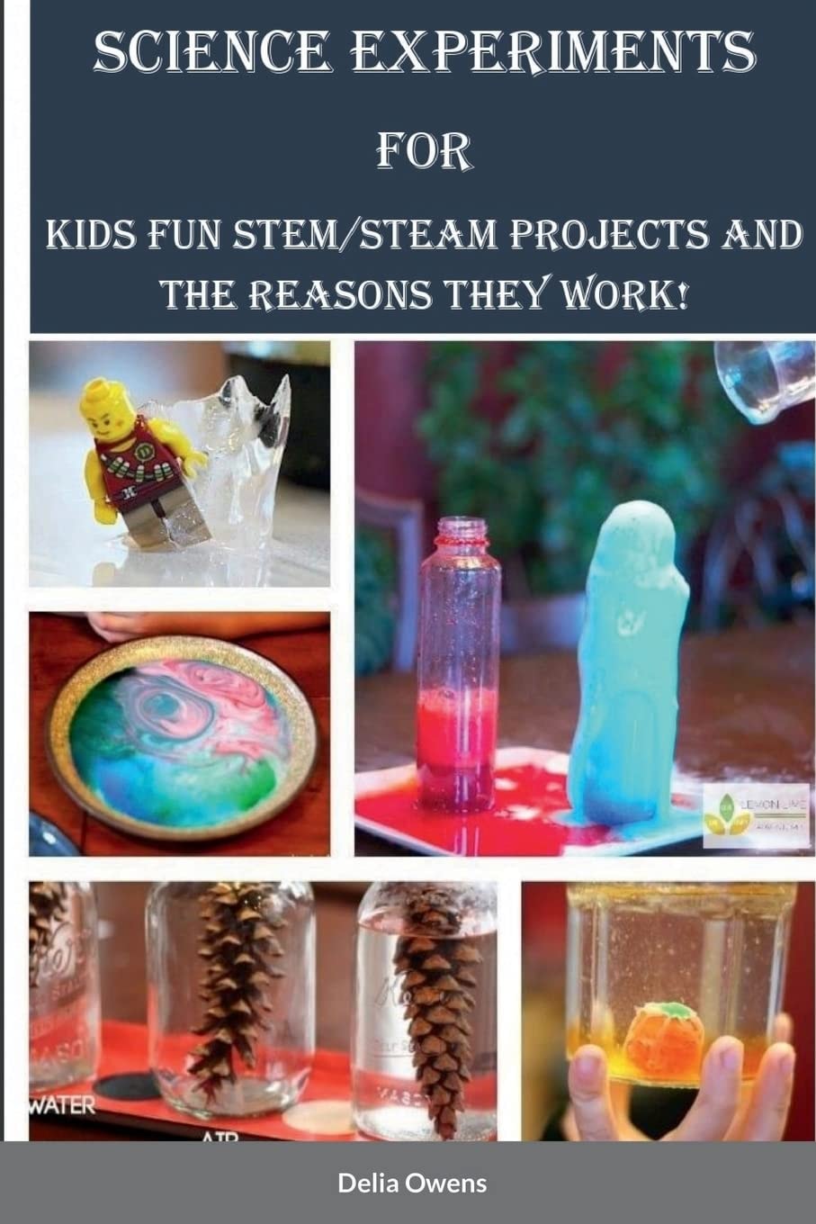 Science Experiments for Kids Fun STEM/STEAM Projects and the Reasons They Work!
