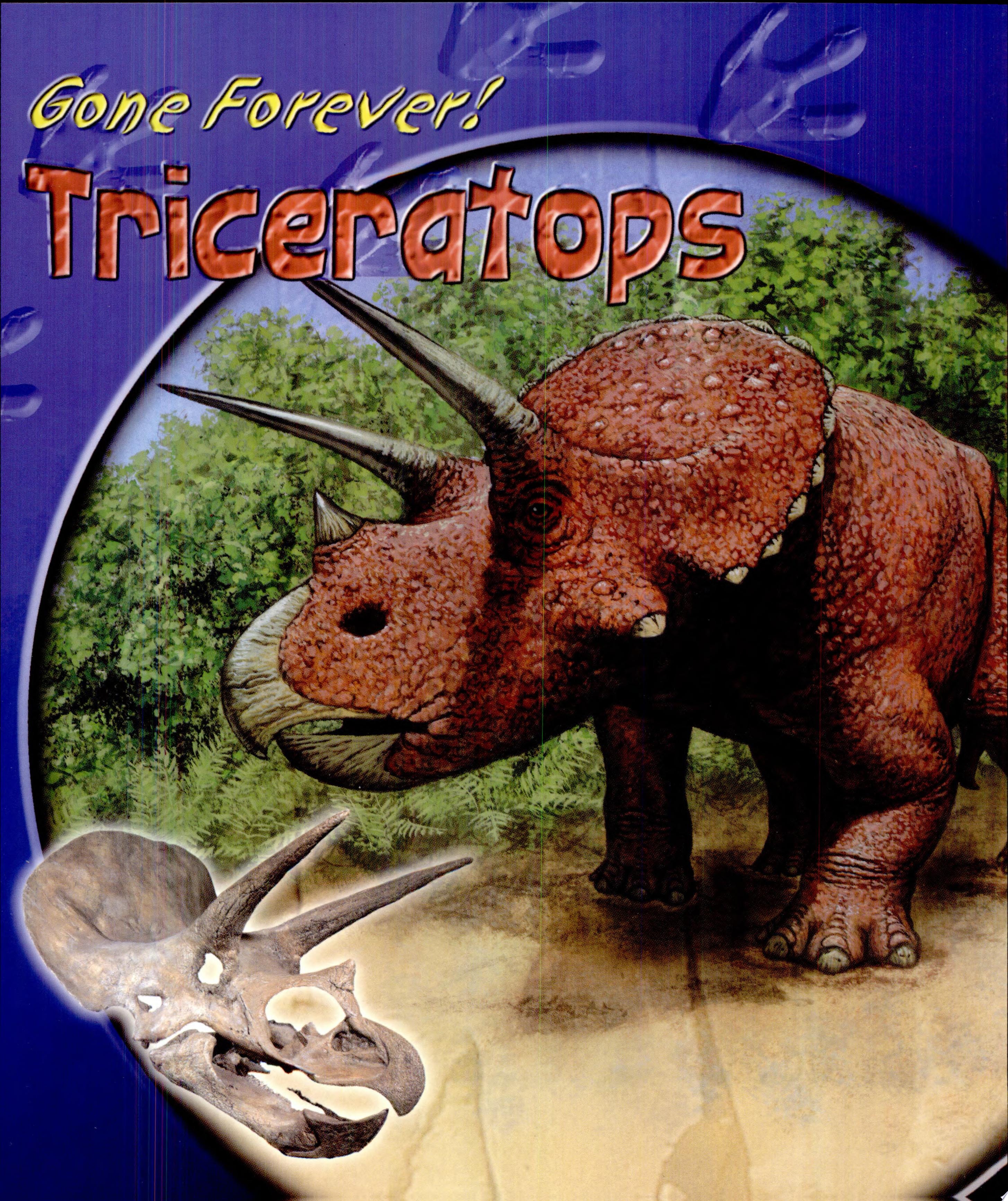Triceratops