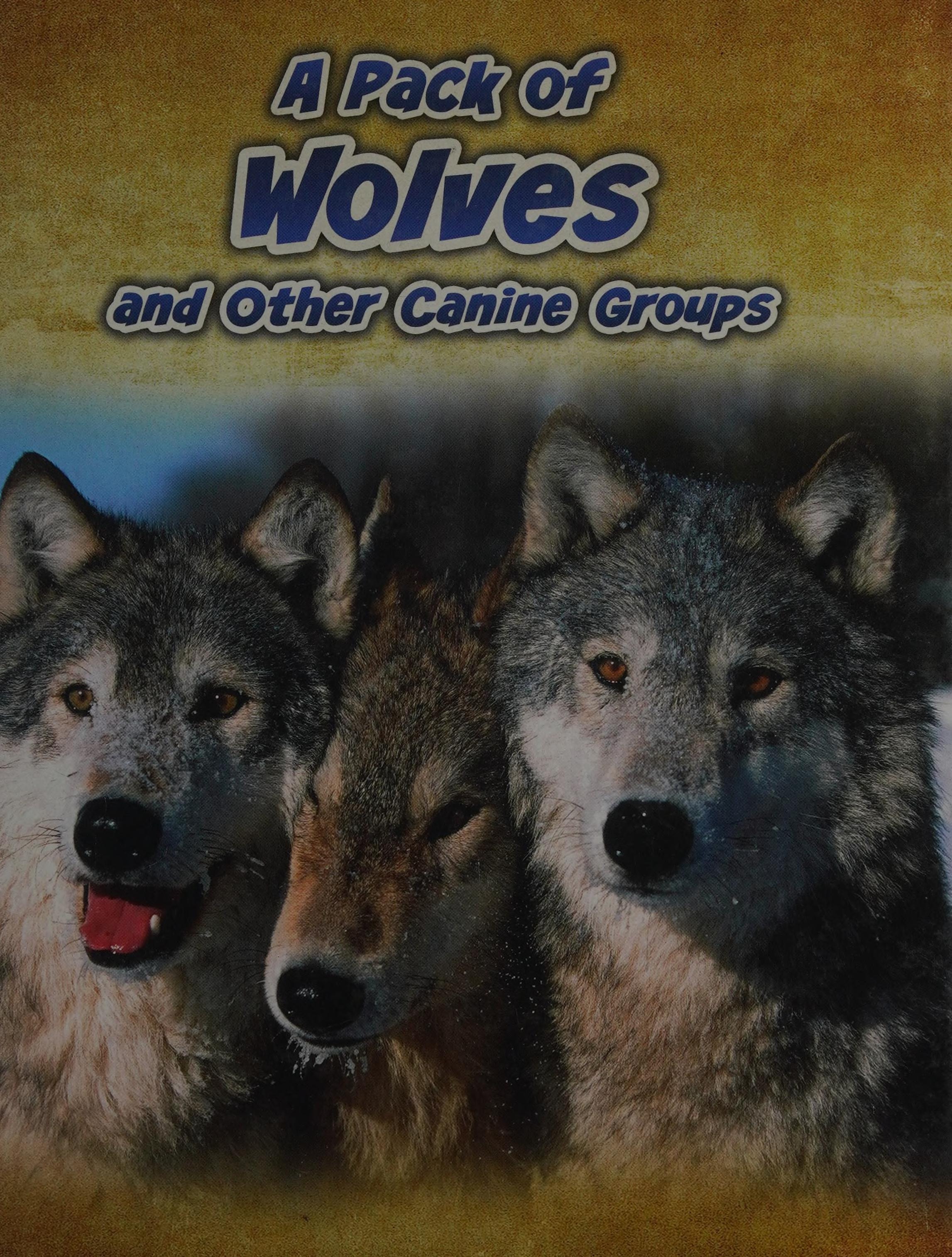 A Pack of Wolves And Other Canine Groups