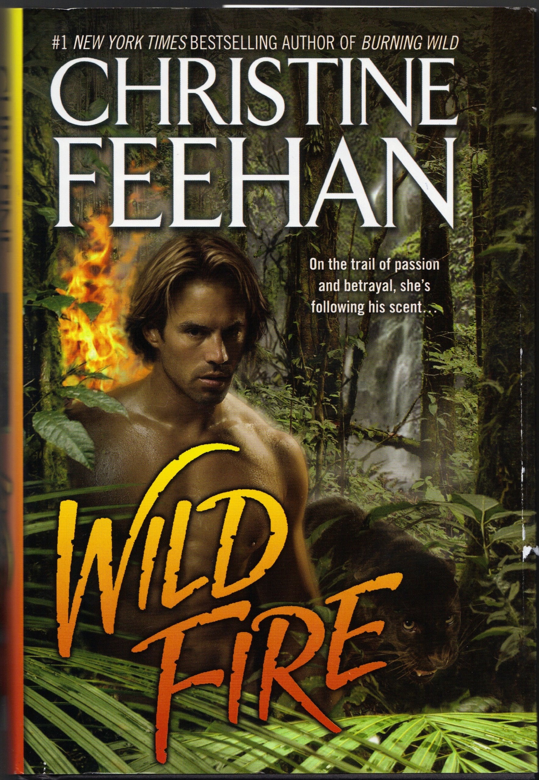 Wild Fire
