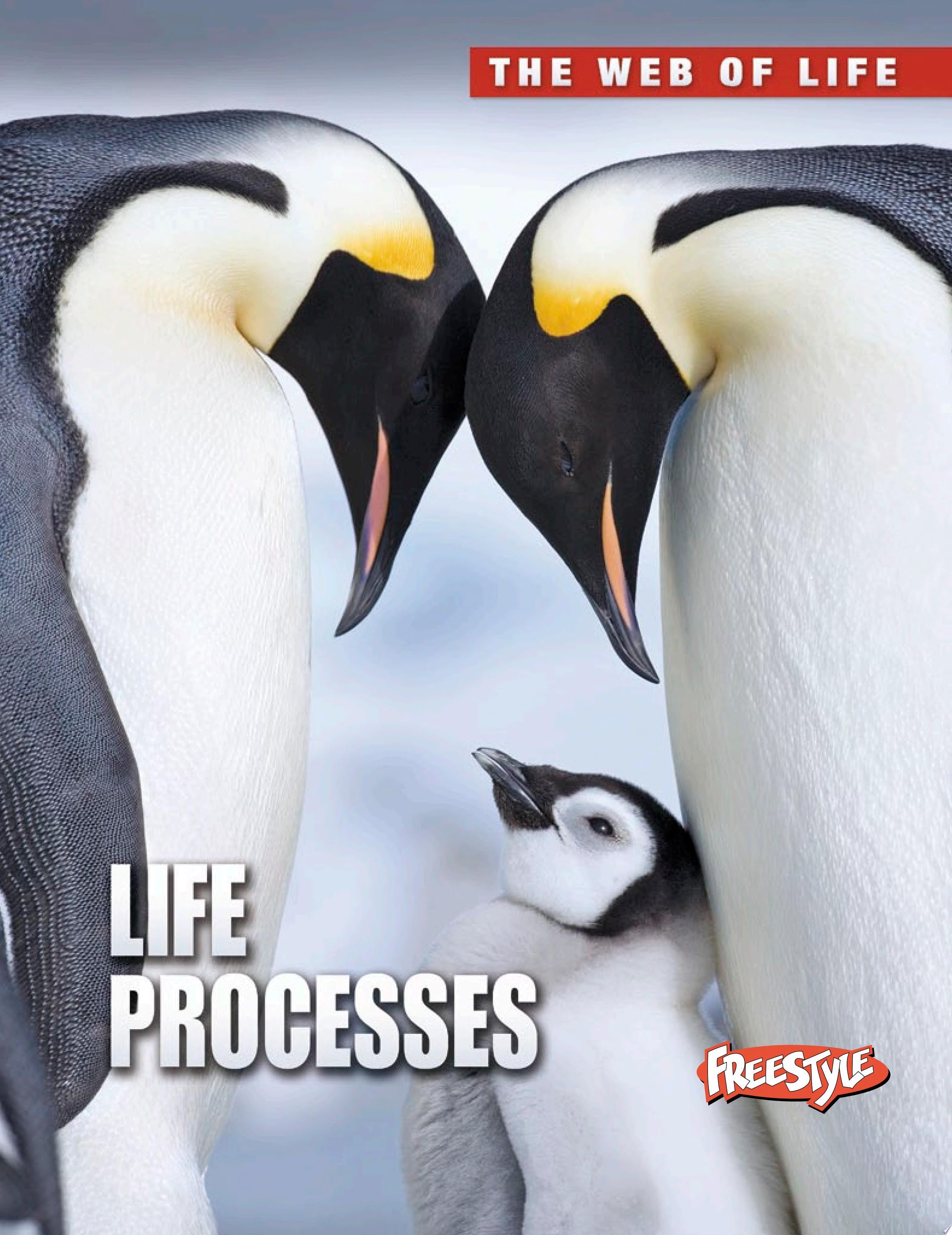 Life Processes