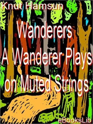 A Wanderer Plays on Muted Strings