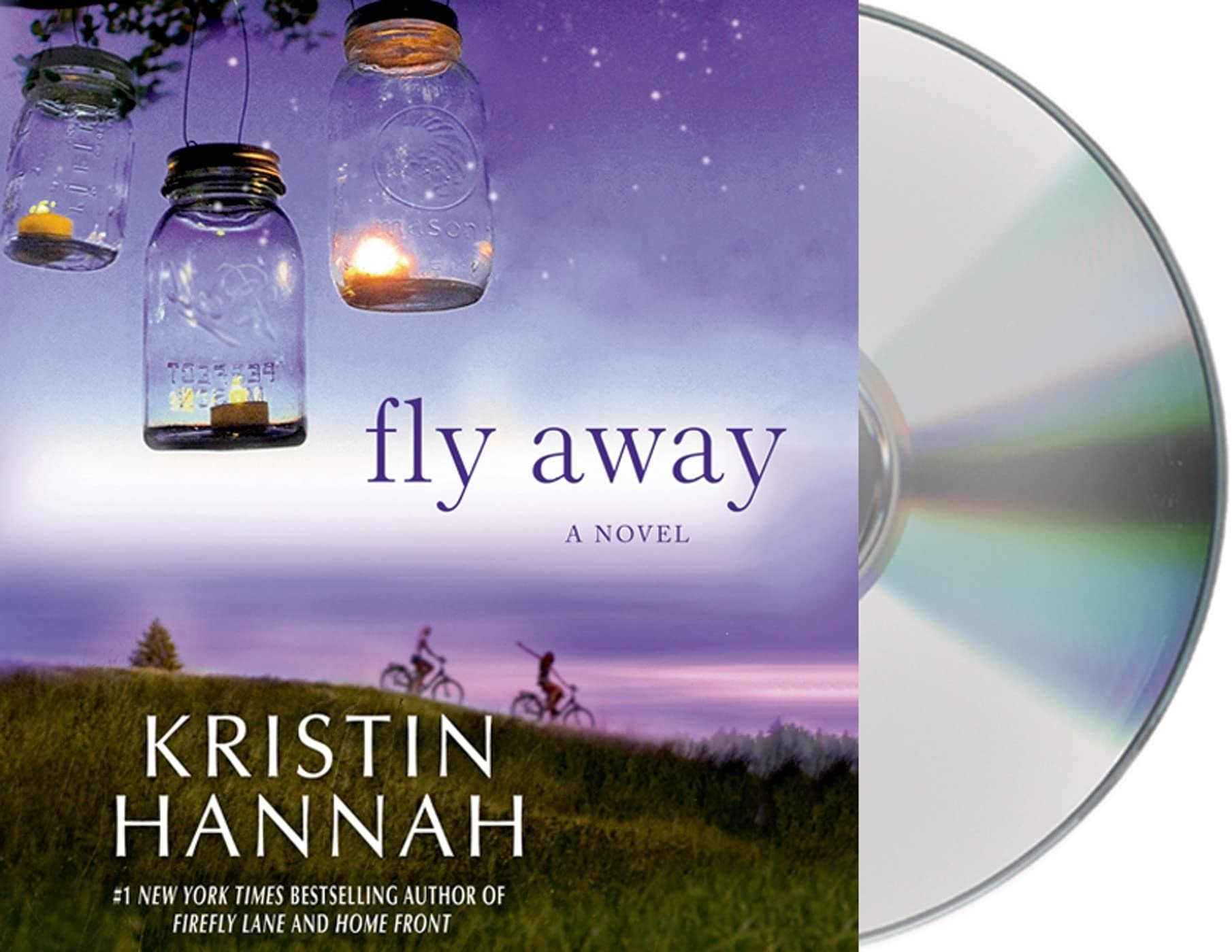 Fly Away: A Novel