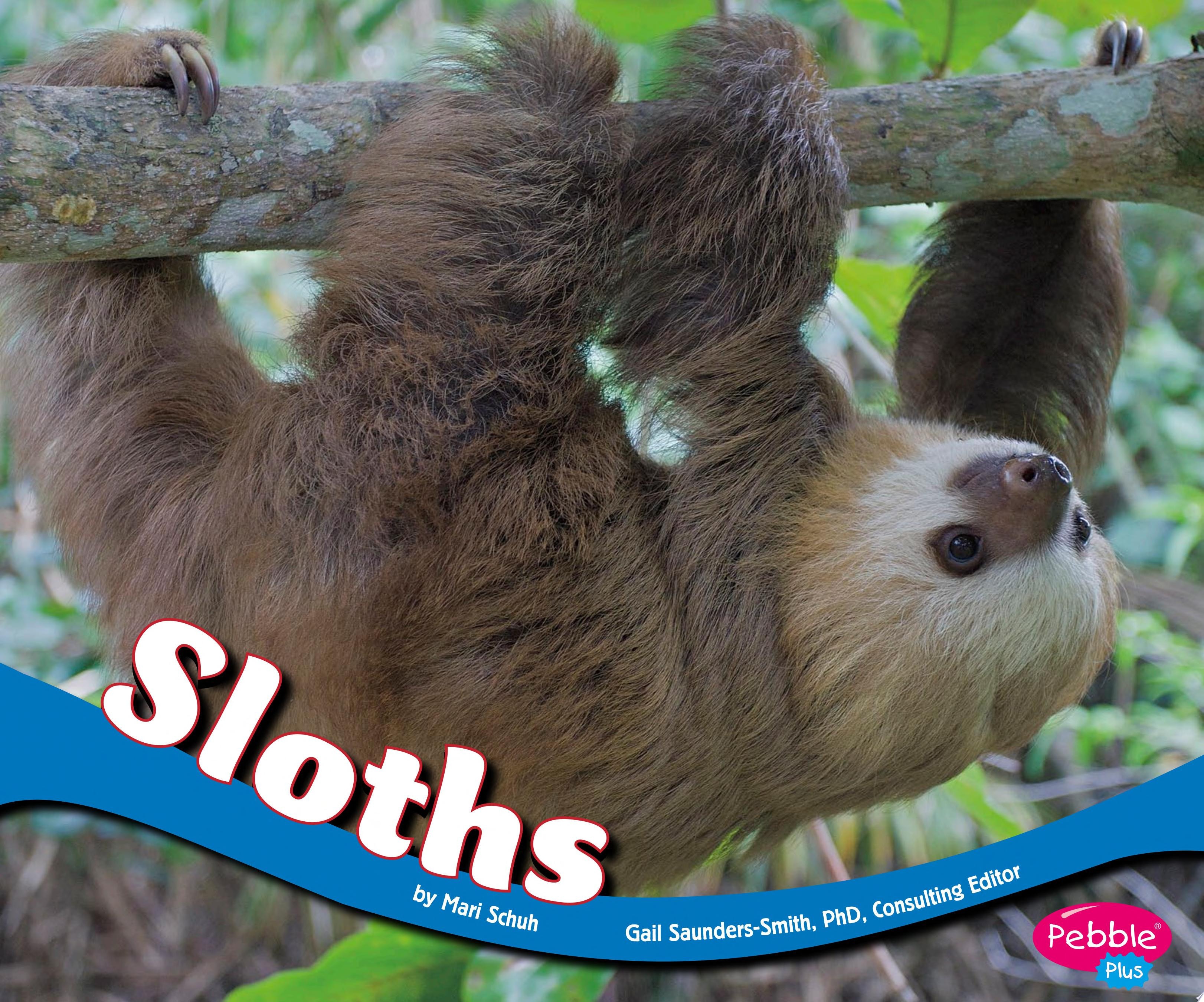 Sloths