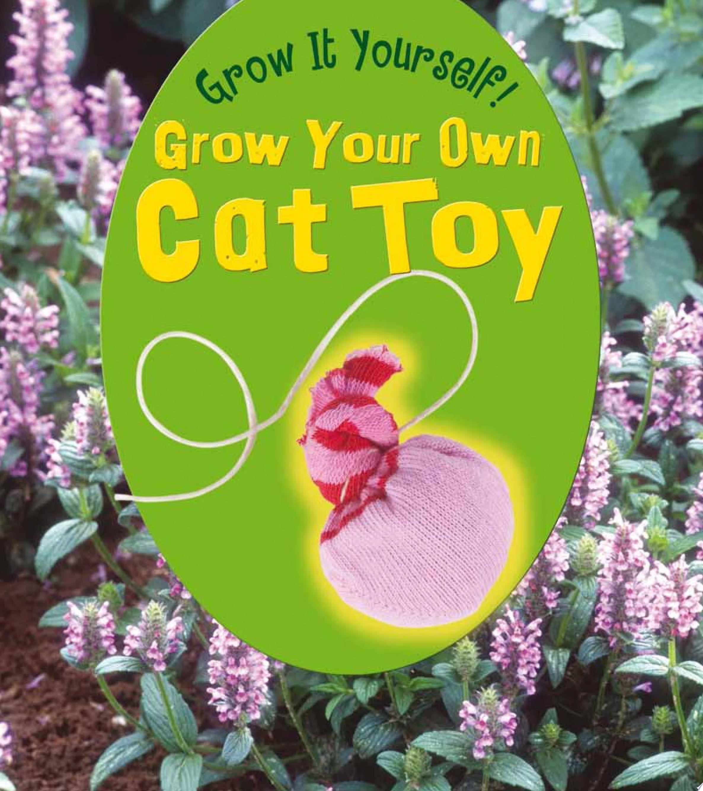 Grow Your Own Cat Toy