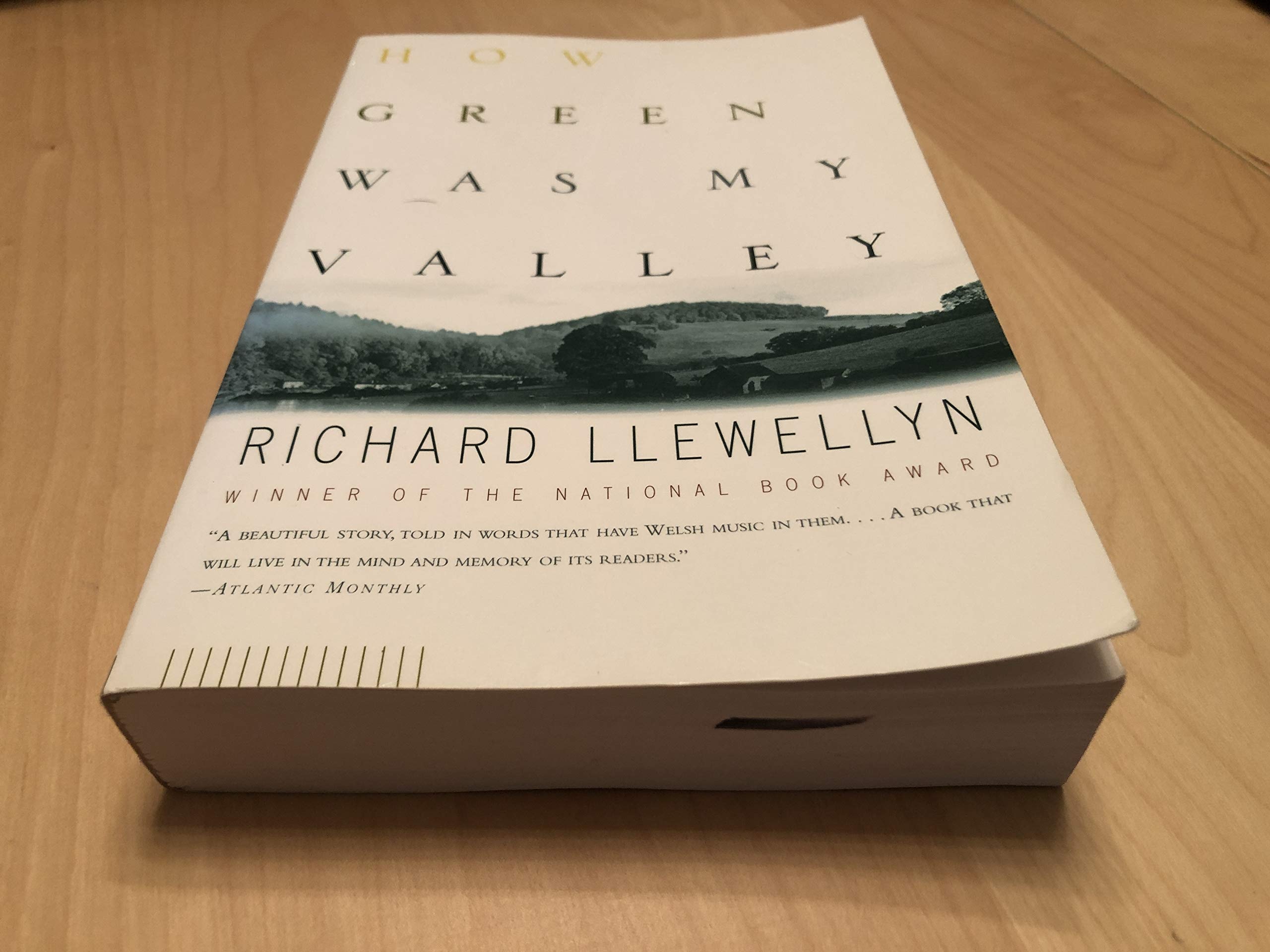 How Green Was My Valley