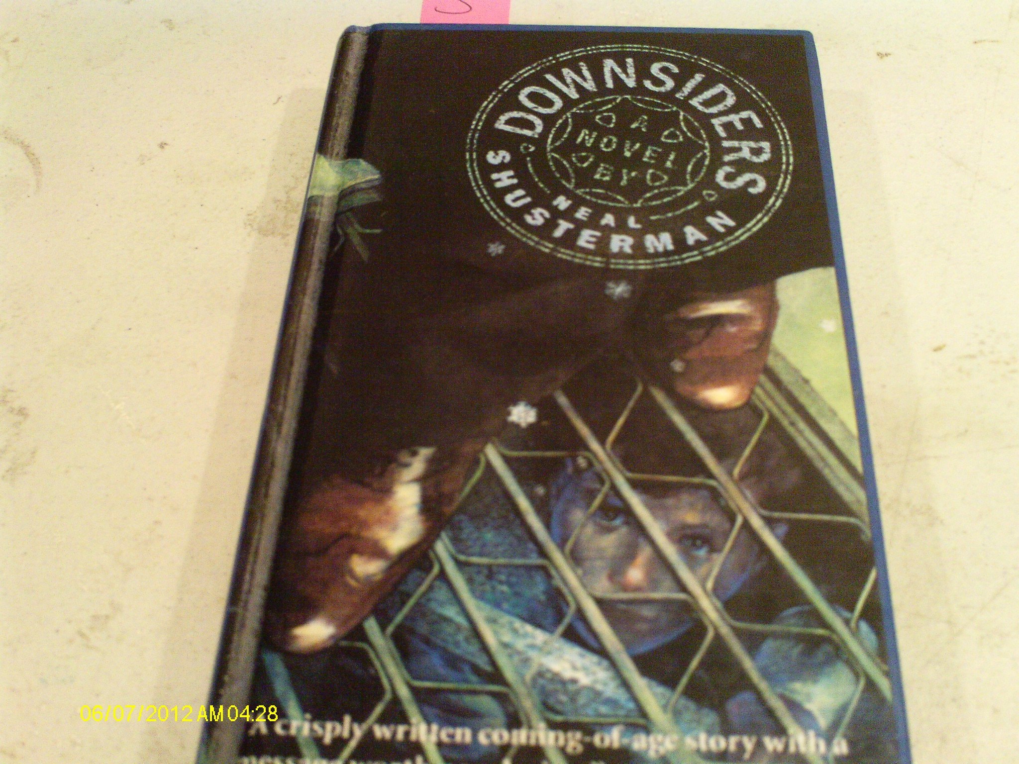 Downsiders A Novel