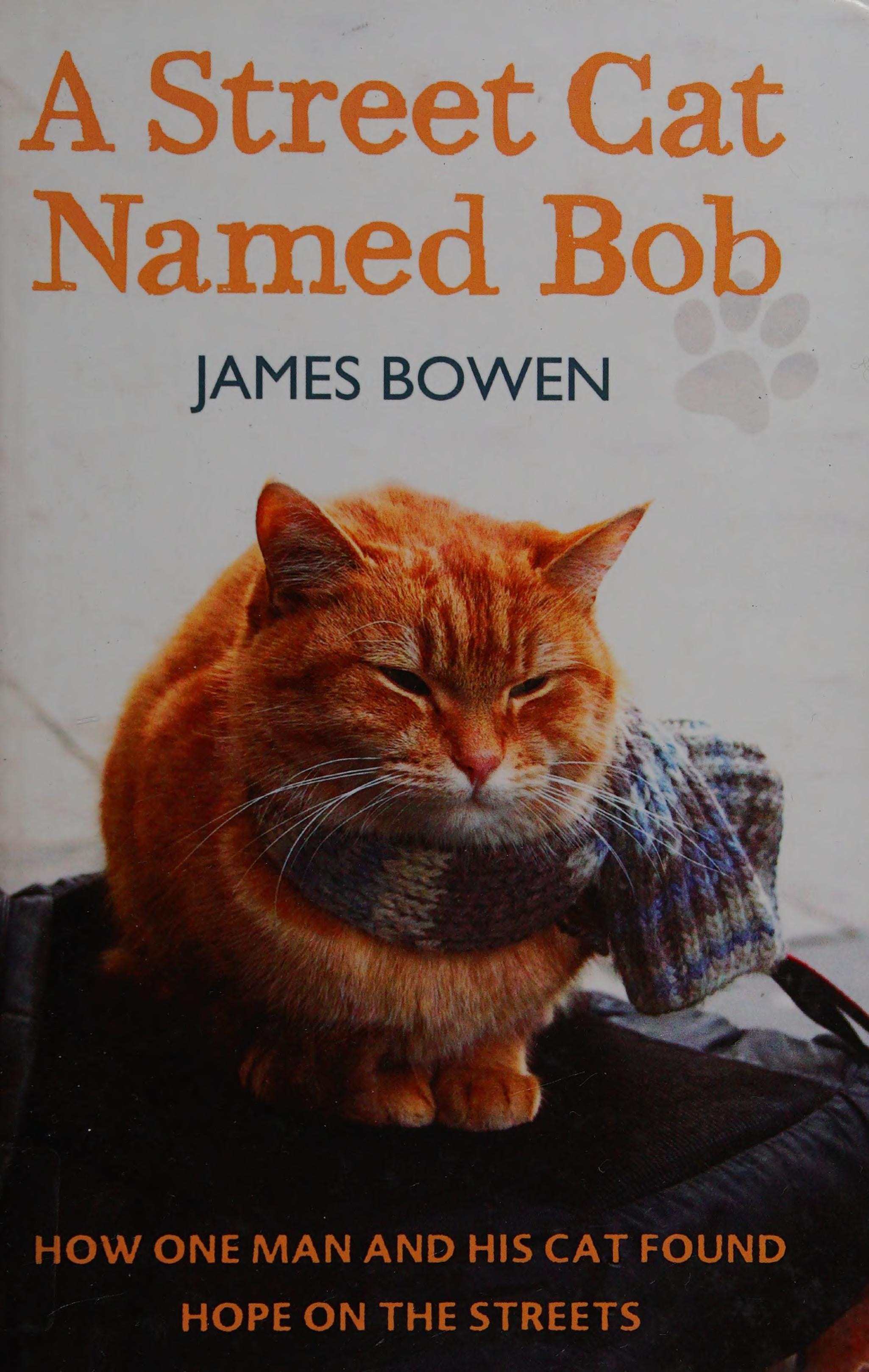 A Street Cat Named Bob How One Man and His Cat Found Hope on the Streets