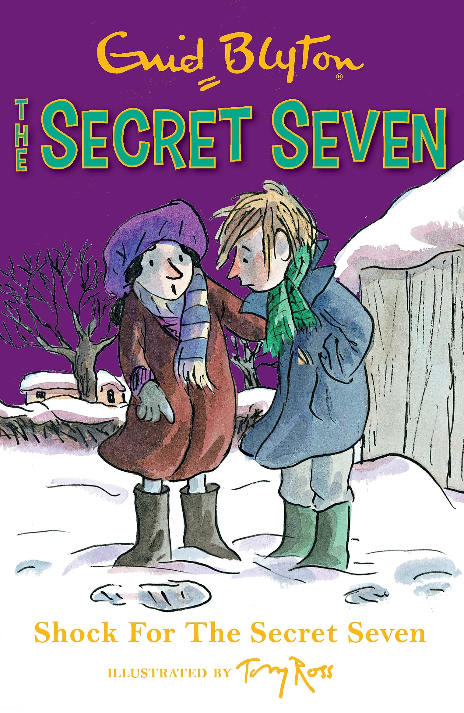 Shock for the Secret Seven