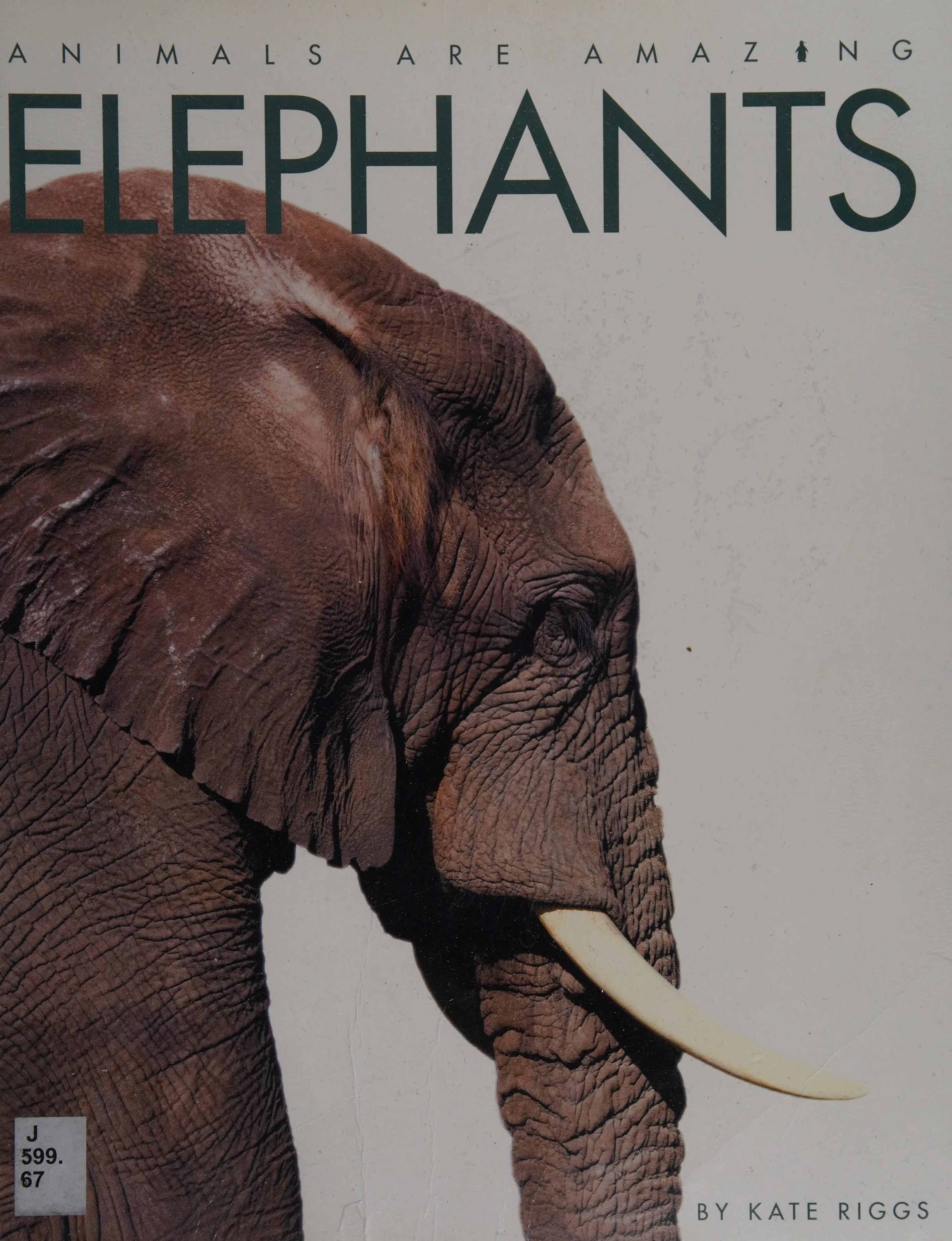 Elephants