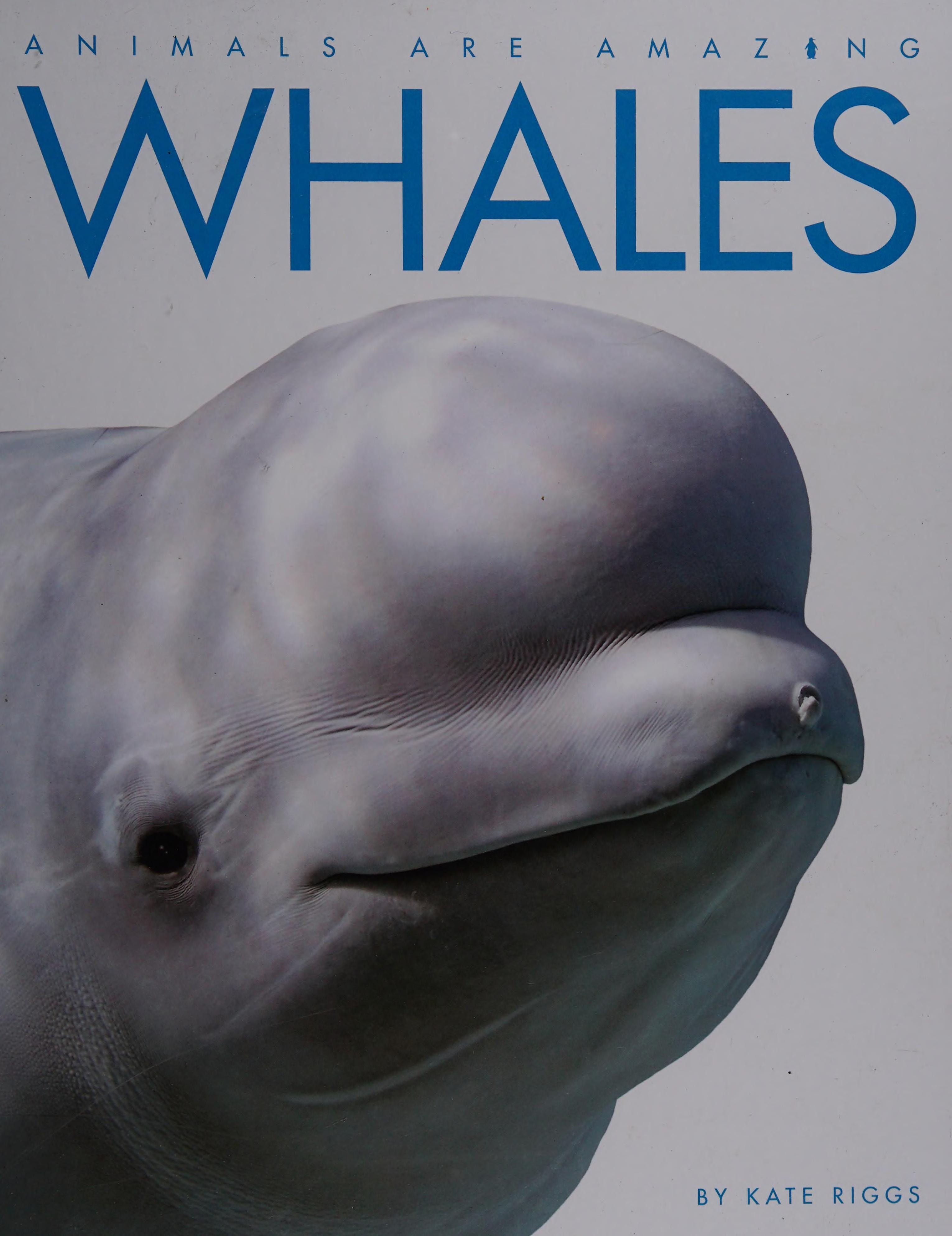 Whales