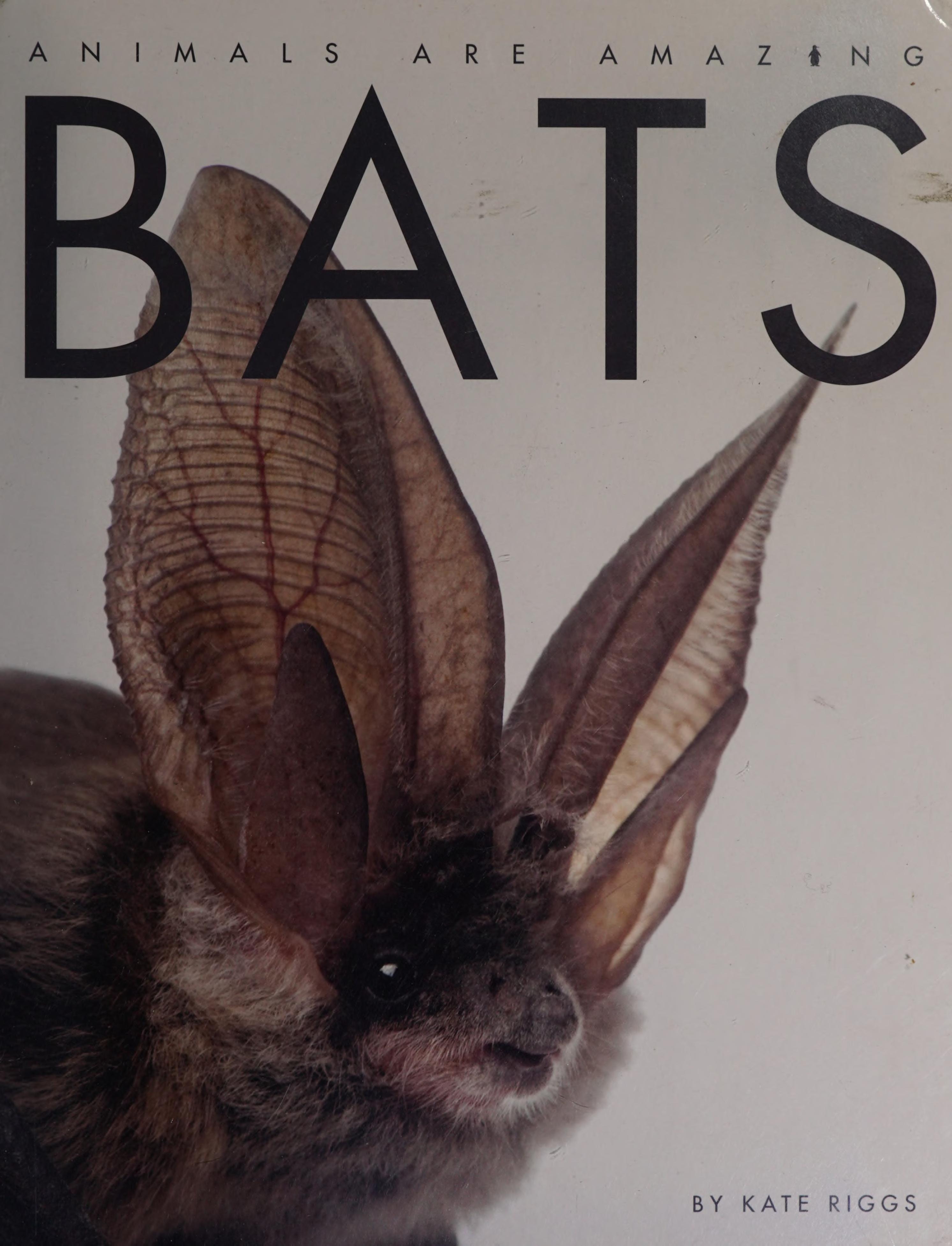 Bats