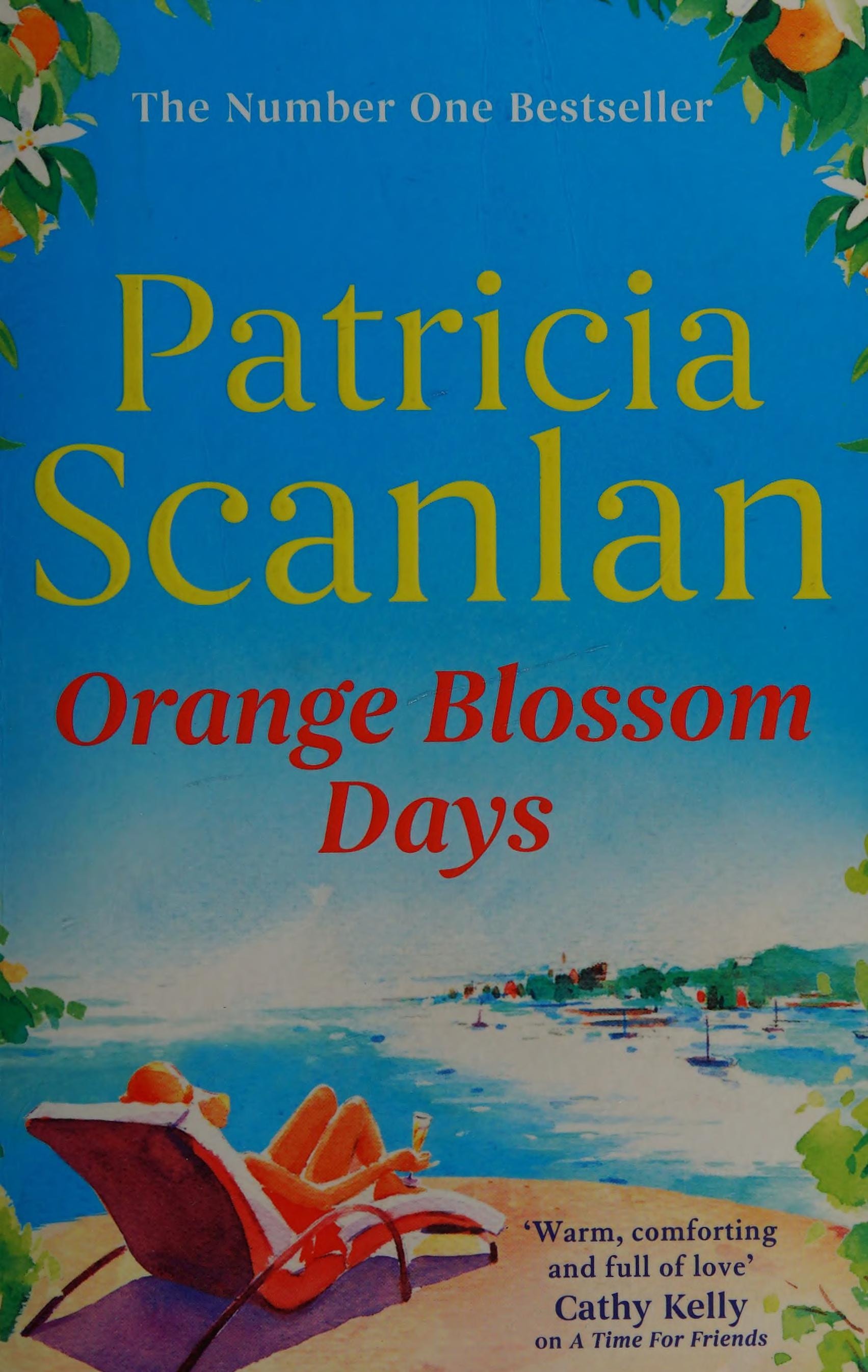 Orange Blossom Days Warmth, wisdom and love on every page - if you treasured Maeve Binchy, read Patricia Scanlan