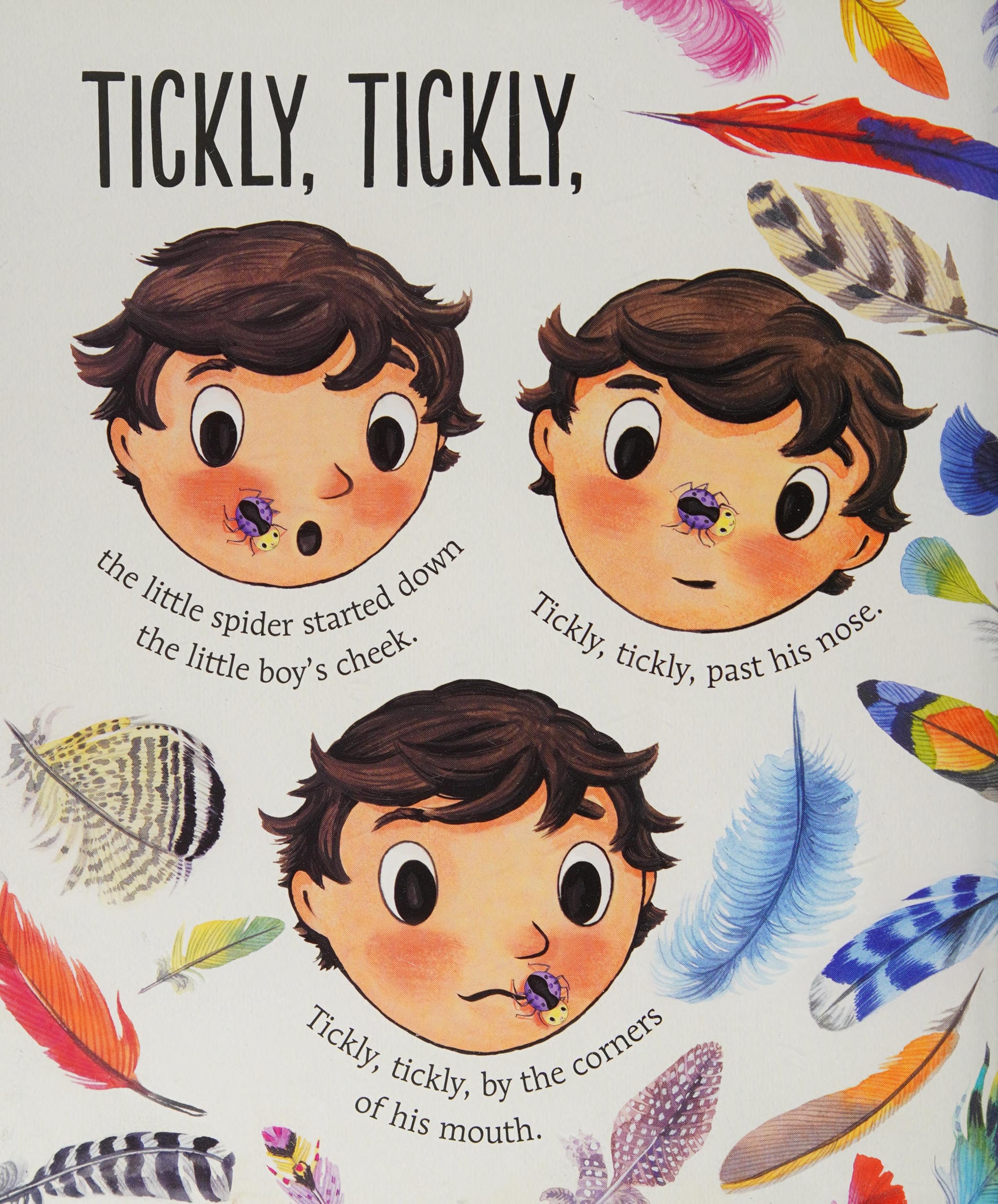 The Tickly Spider