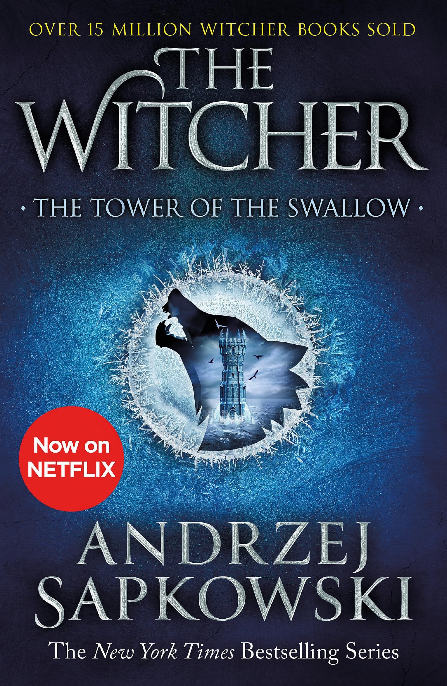 The Tower of the Swallow Witcher 4 - Now a Major Netflix Show