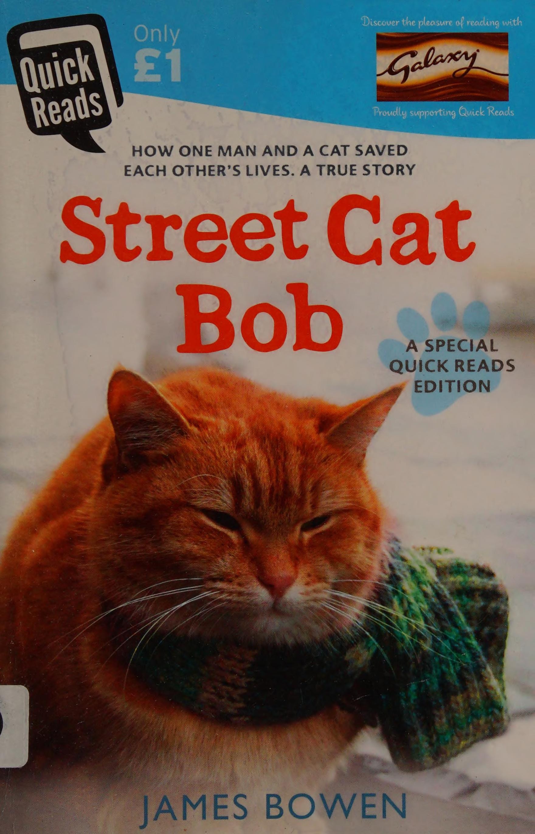 Street Cat Bob How one man and a cat saved each other's lives. A true story