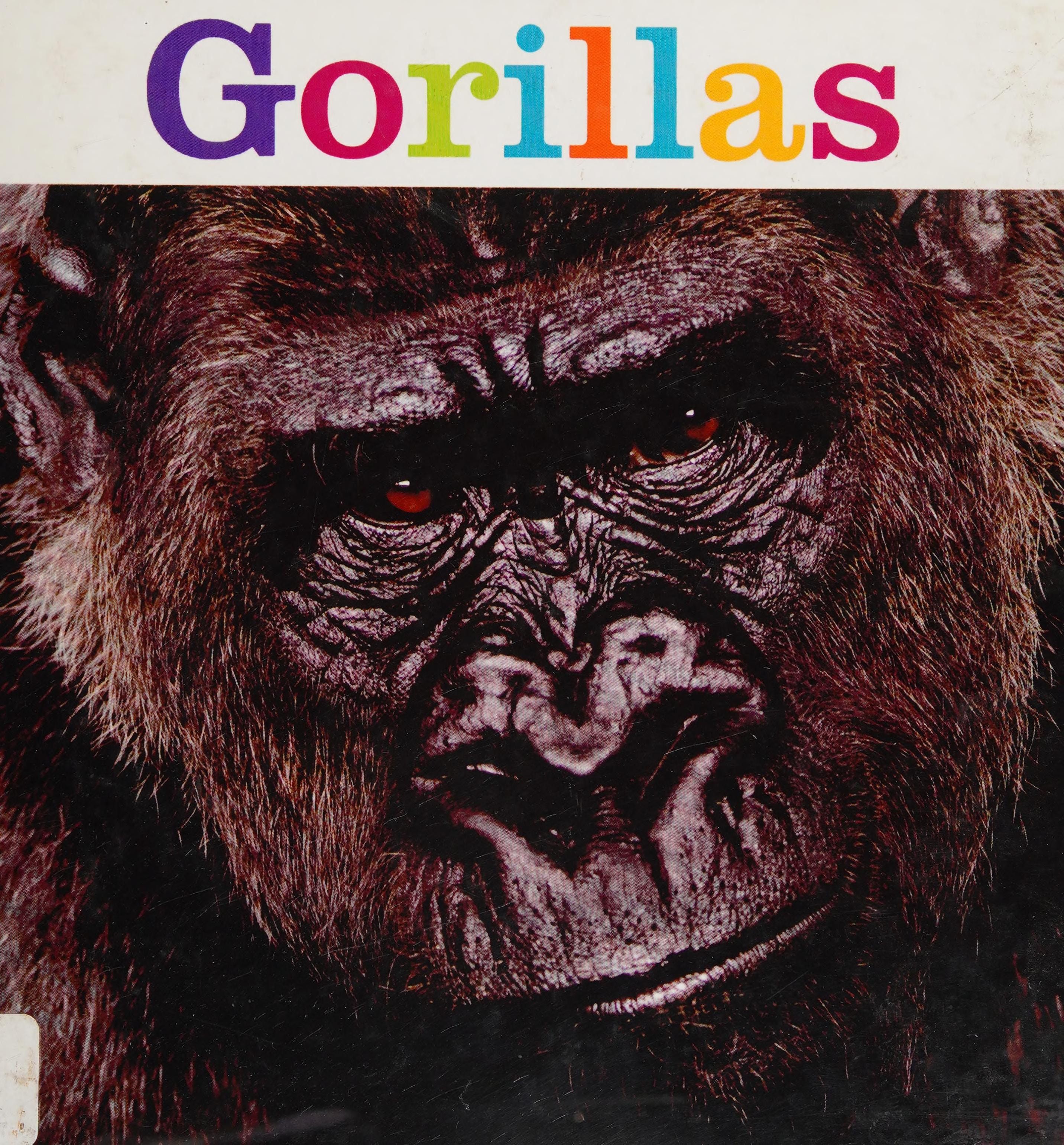 Gorillas