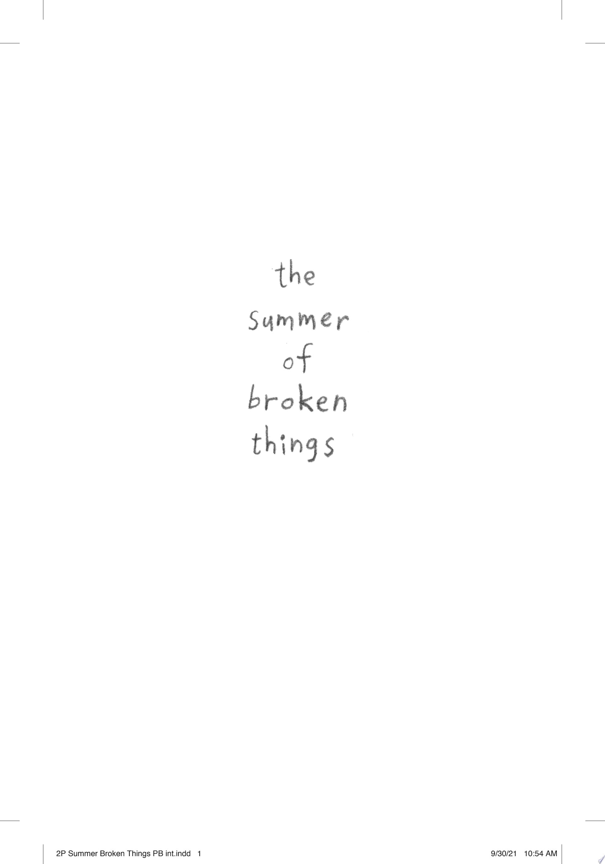 The Summer of Broken Things