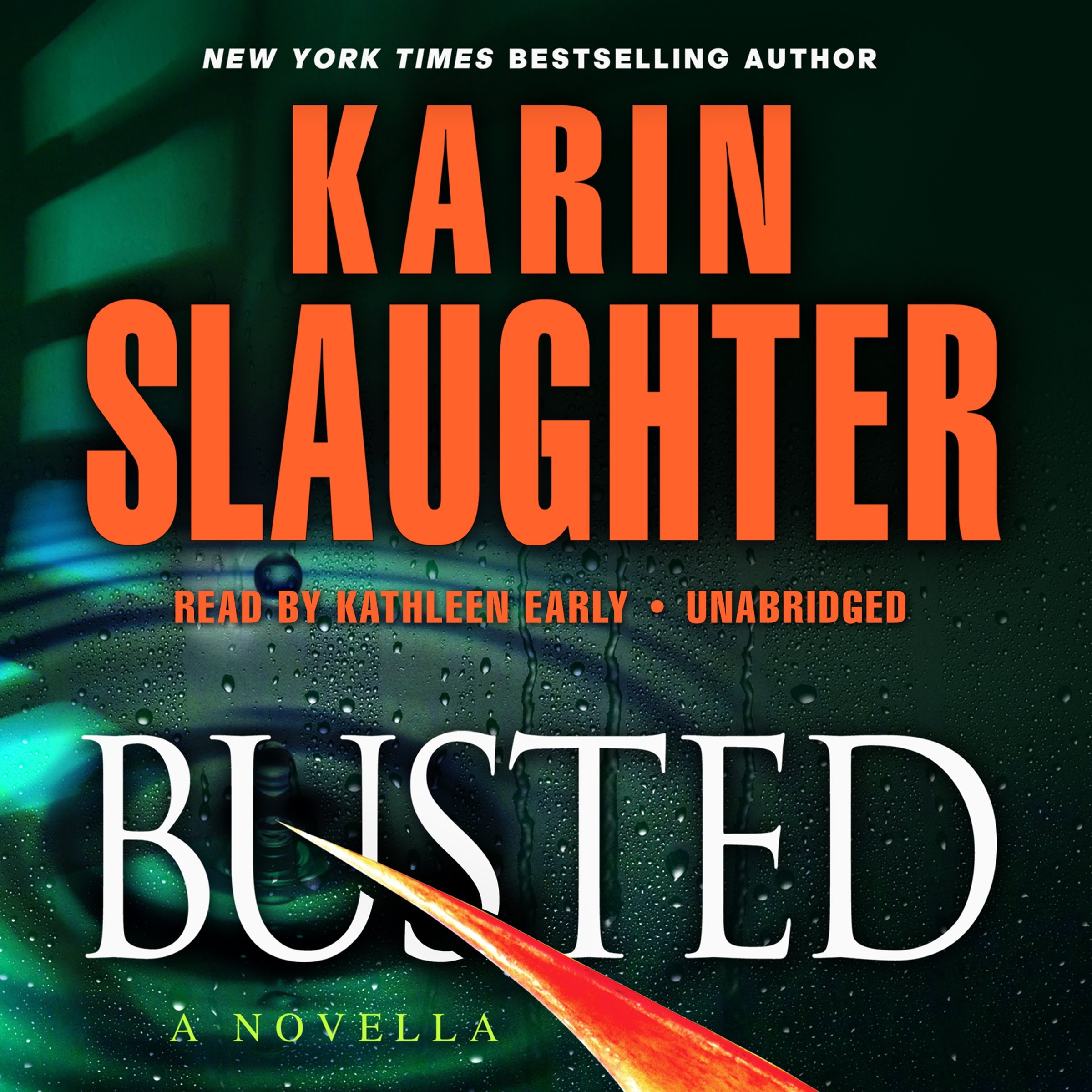 Busted: A Novella (Will Trent series) (The Will Trent Series)