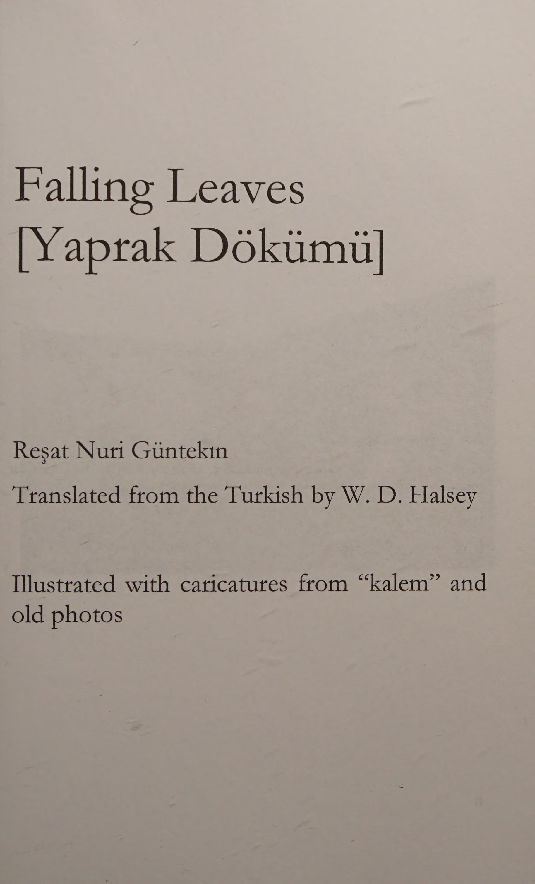 Falling Leaves [Yaprak Dokumu]