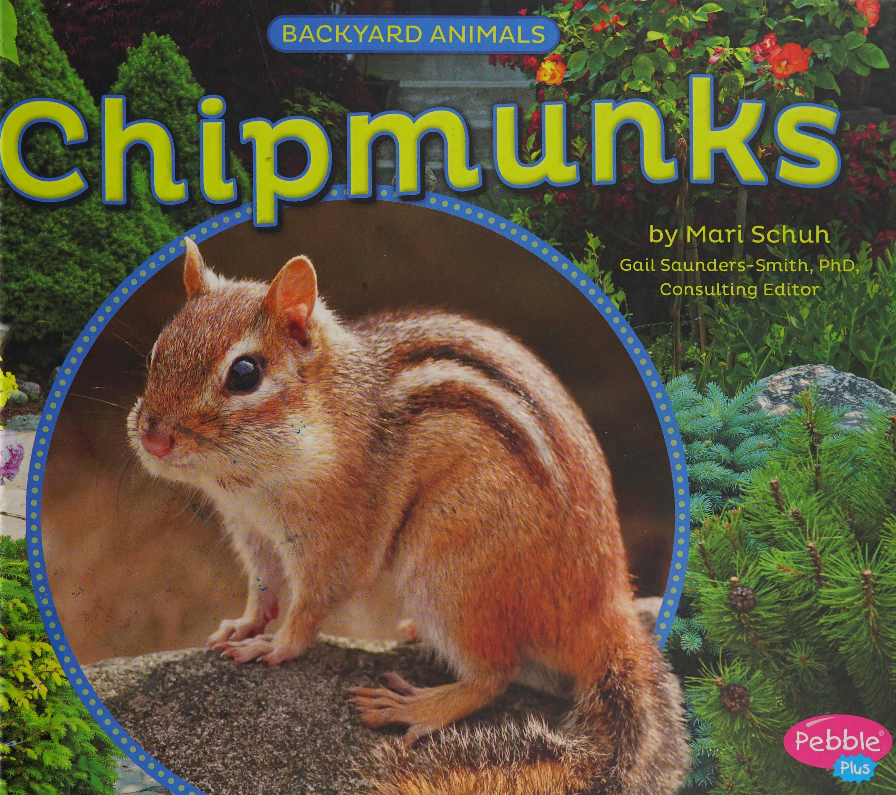 Chipmunks