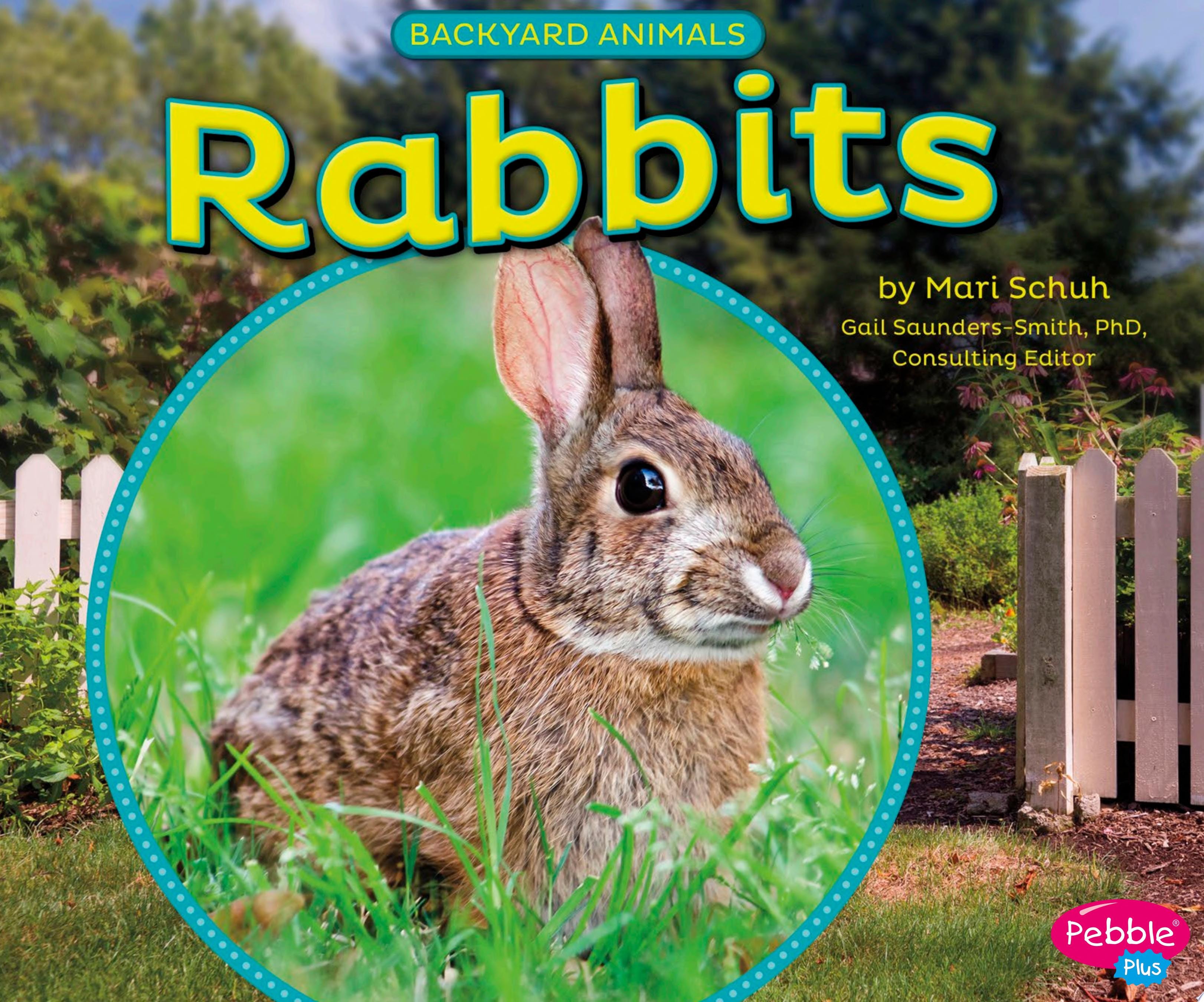 Rabbits
