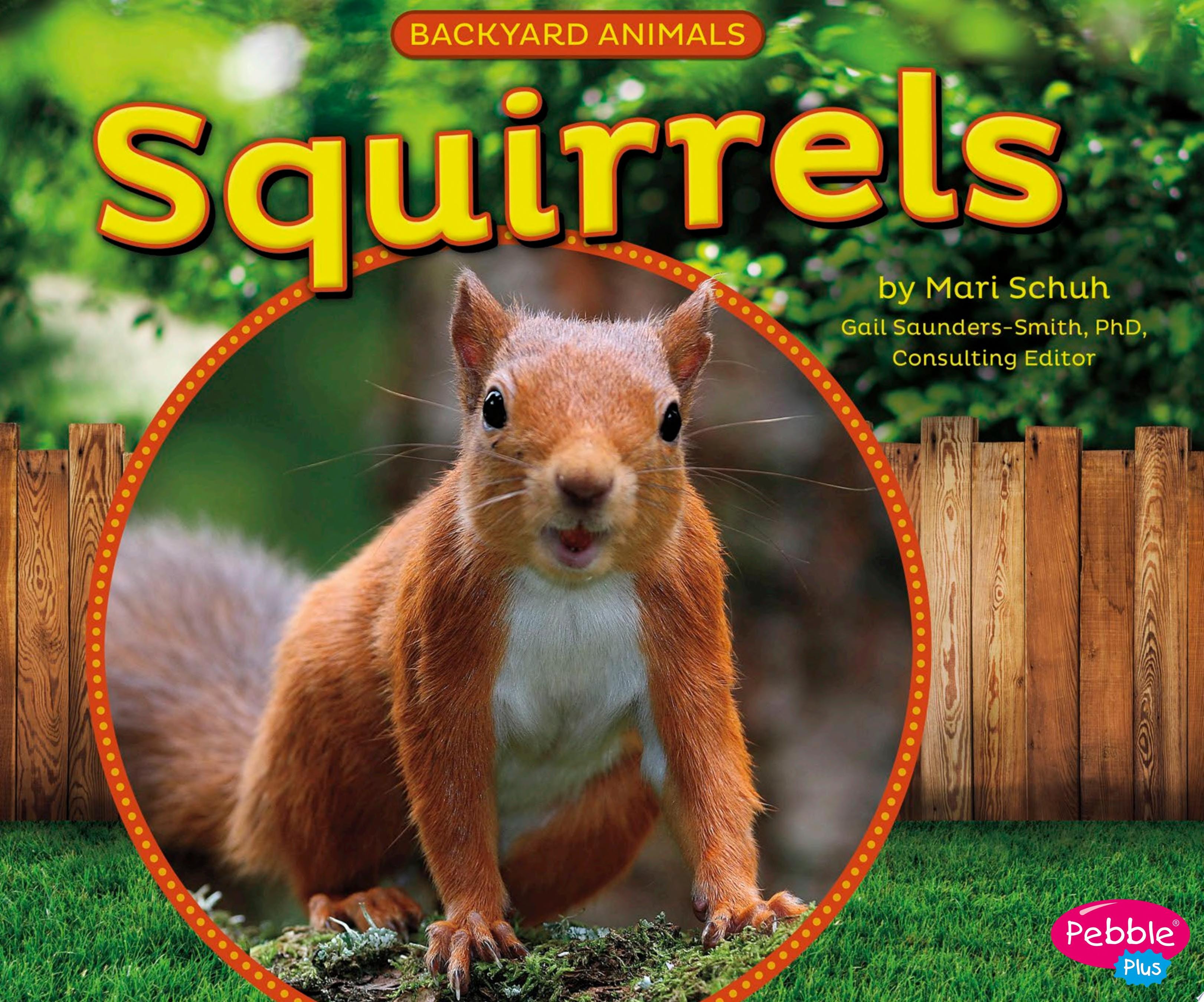 Squirrels