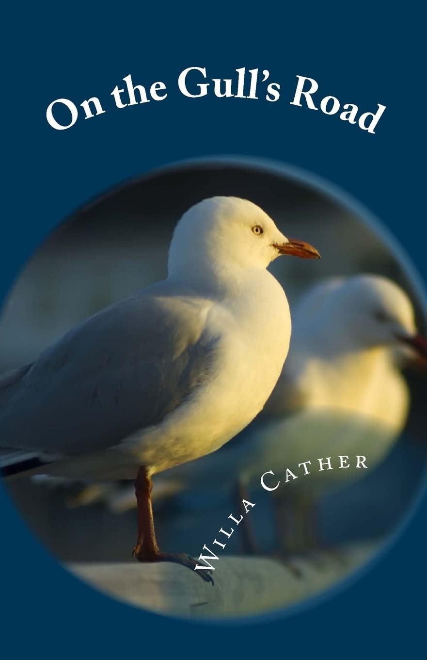 On the gull's road