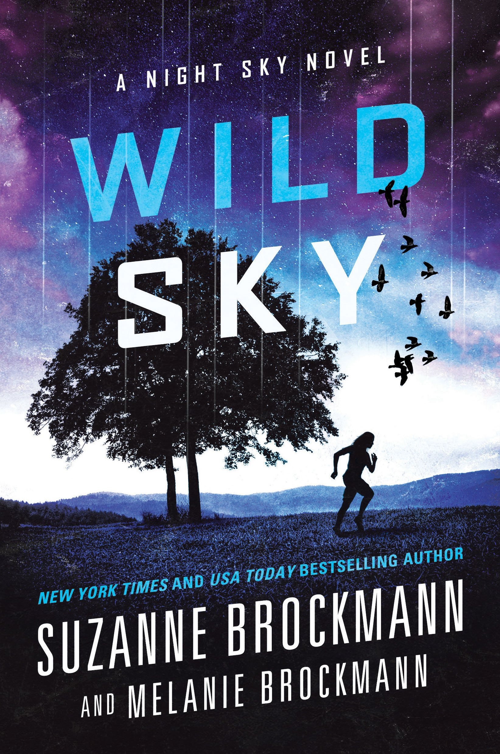 Wild Sky A Night Sky Novel