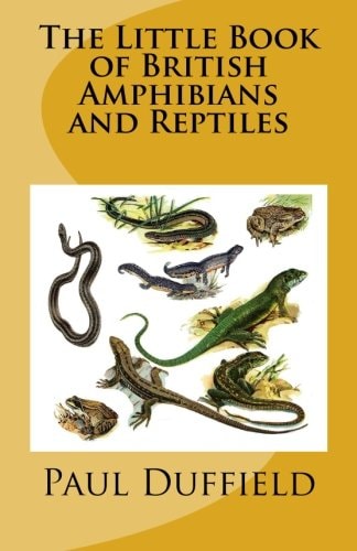 The Little Book of British Amphibians and Reptiles