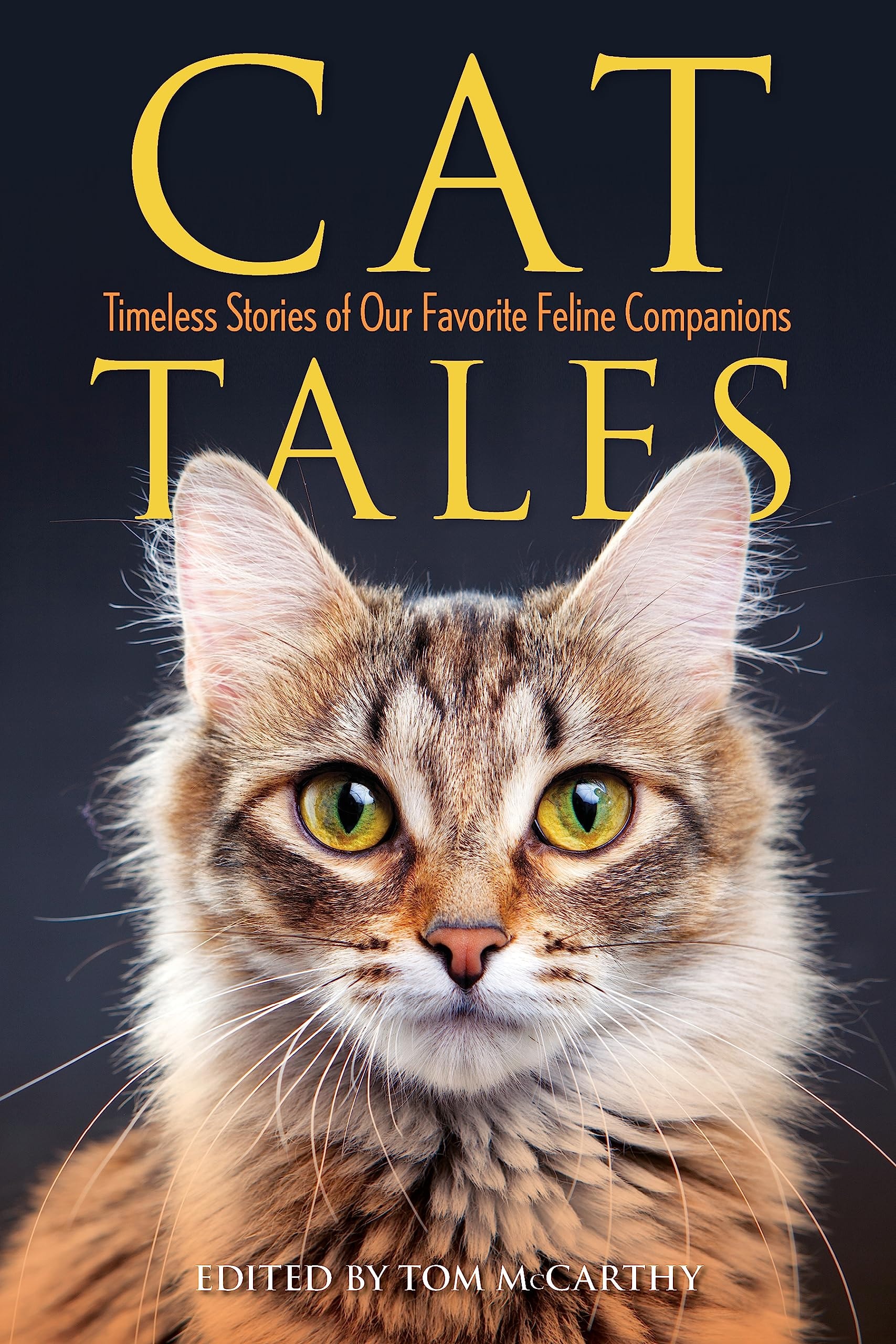 Cat Tales Timeless Stories of Our Favorite Feline Companions
