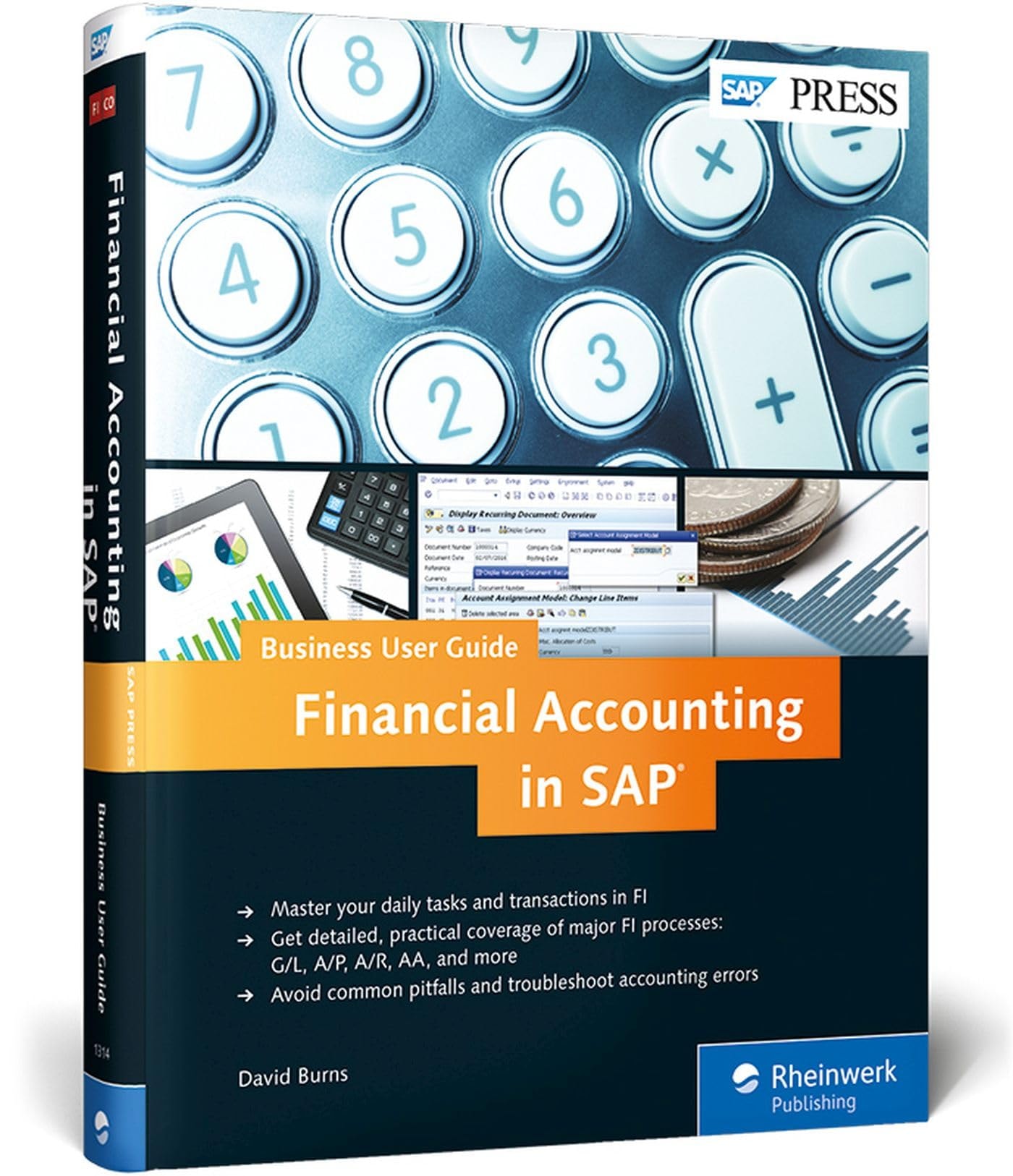 Financial Accounting in SAP Business User Guide
