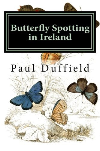Butterfly Spotting in Ireland