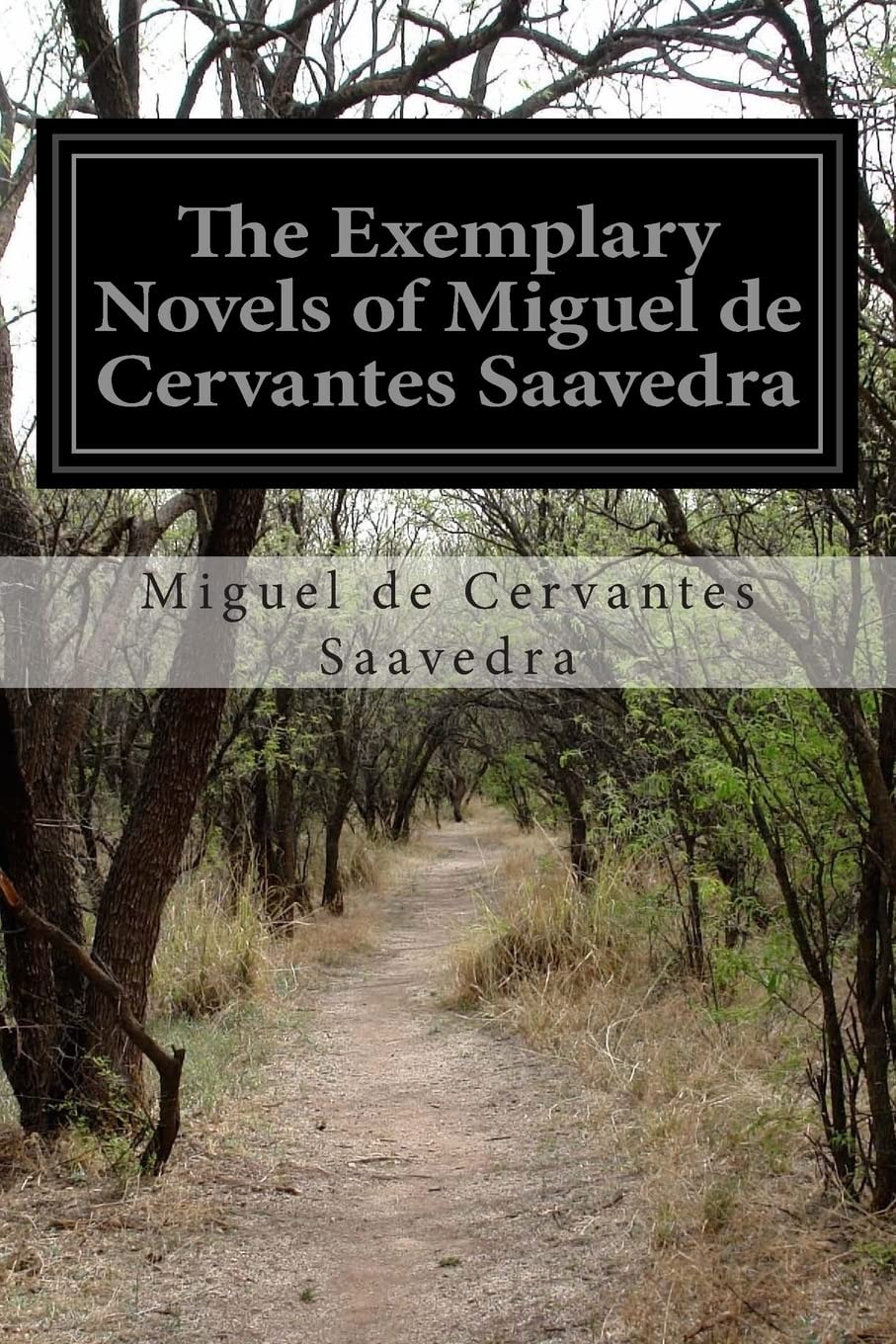 The Exemplary Novels of Miguel de Cervantes Saavedra