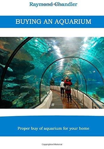 Buying an Aquarium Proper Buy of Aquarium for Your Home