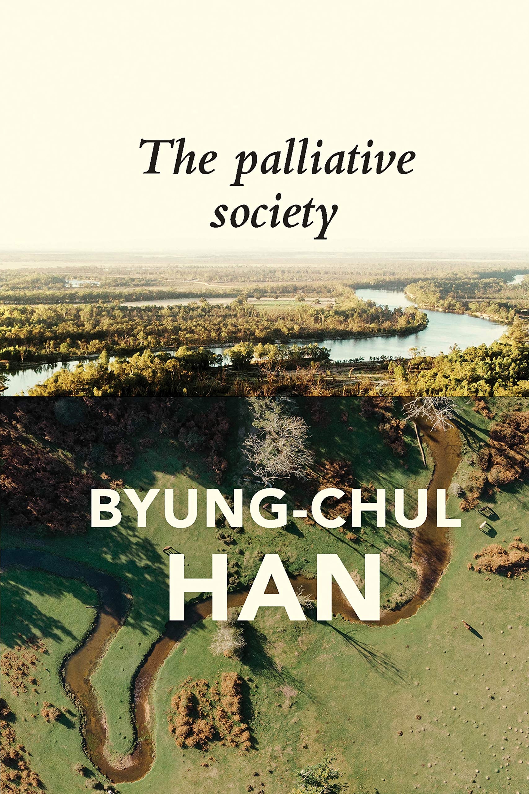 The Palliative Society Pain Today