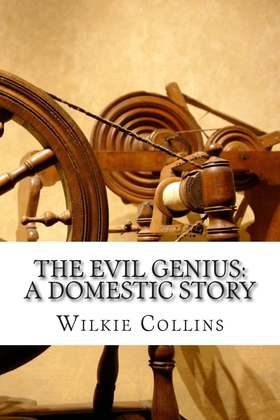 The Evil Genius A Domestic Story