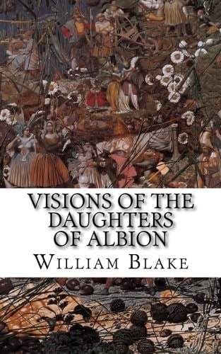 Visions of the Daughters of Albion