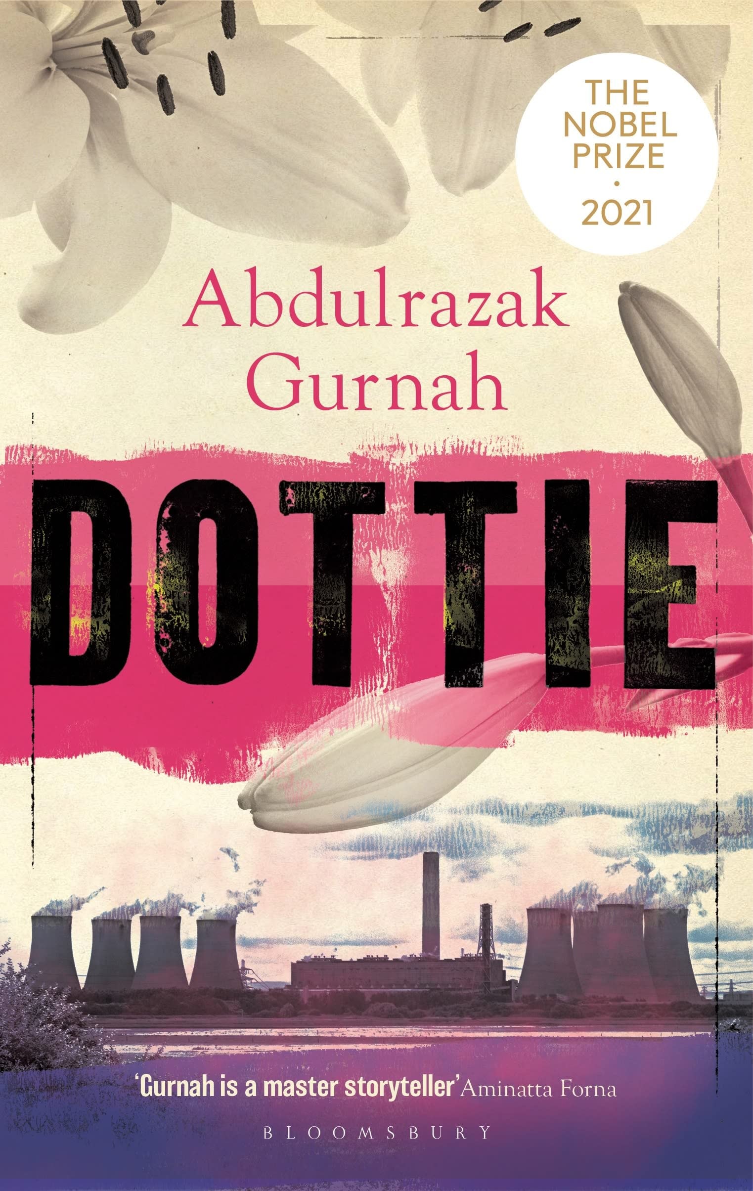 Dottie By the Winner of the Nobel Prize in Literature 2021