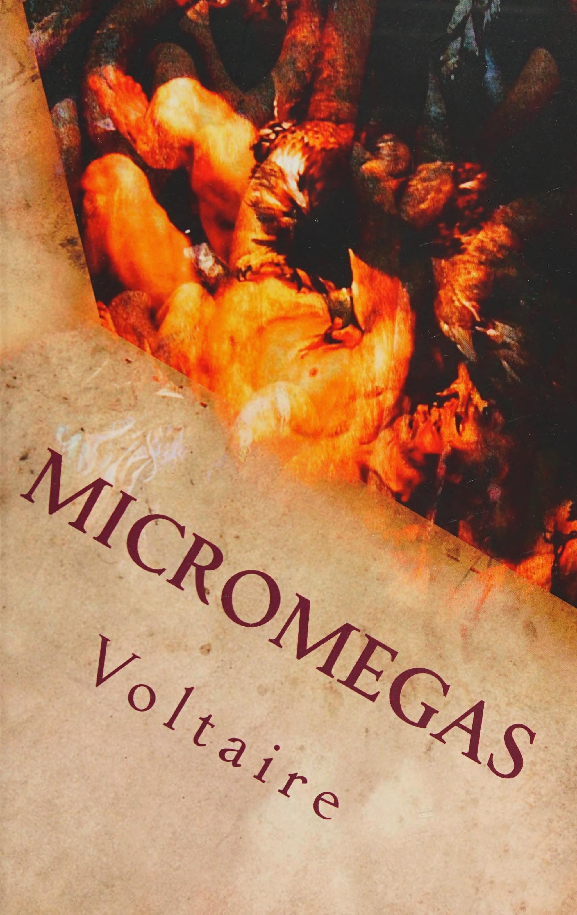 Micromegas