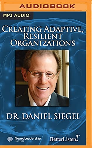 Creating Adaptive, Resilient Organizations