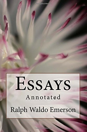 Essays Annotated