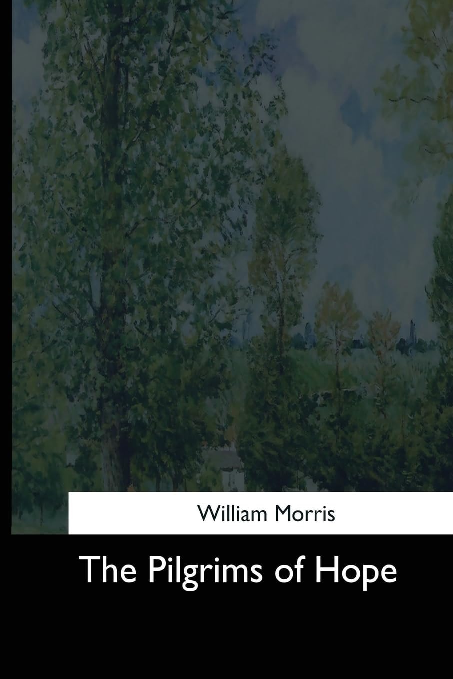 The Pilgrims of Hope